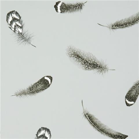 CLARKE & CLARKE Botanica WALLPAPER plumis feather W0097-02