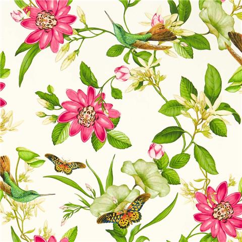 Clarke and Clarke Wedgewood Wallpaper Pink Lotus W0132/02 Ivory