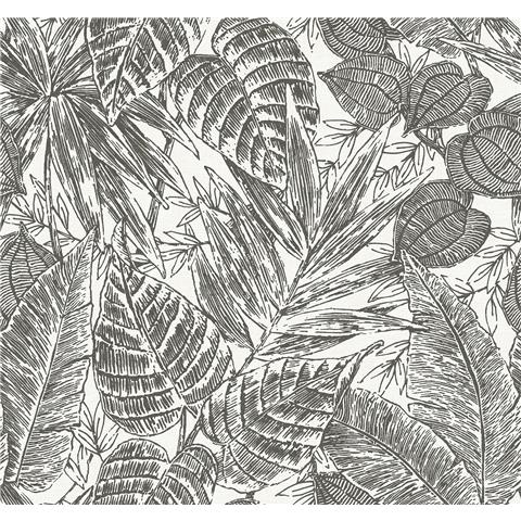 Scott Living 3 Brentwood Wallpaper YK72115