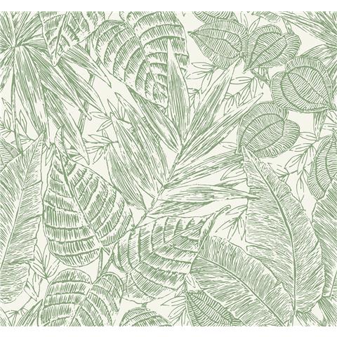 Scott Living 3 Brentwood Wallpaper YK72116