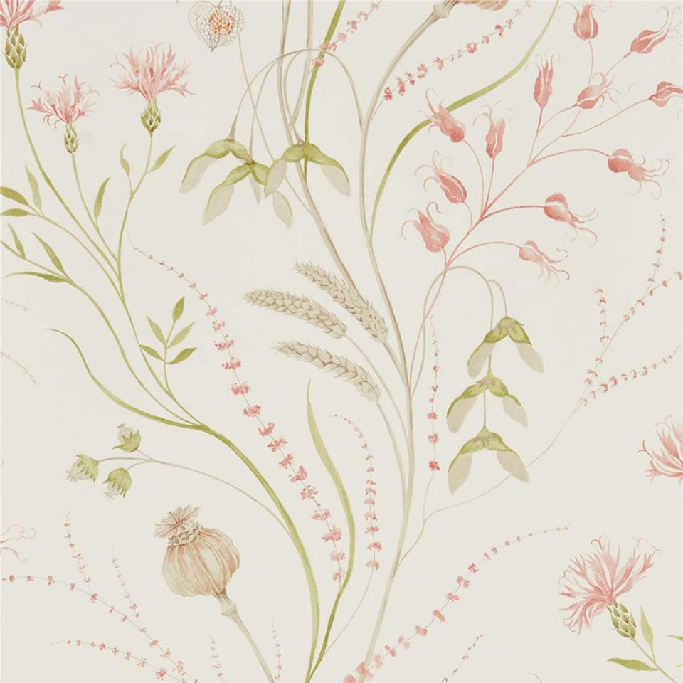 Sanderson Embleton Bay wallpaper Summer harvest 216495 Claret/Olive