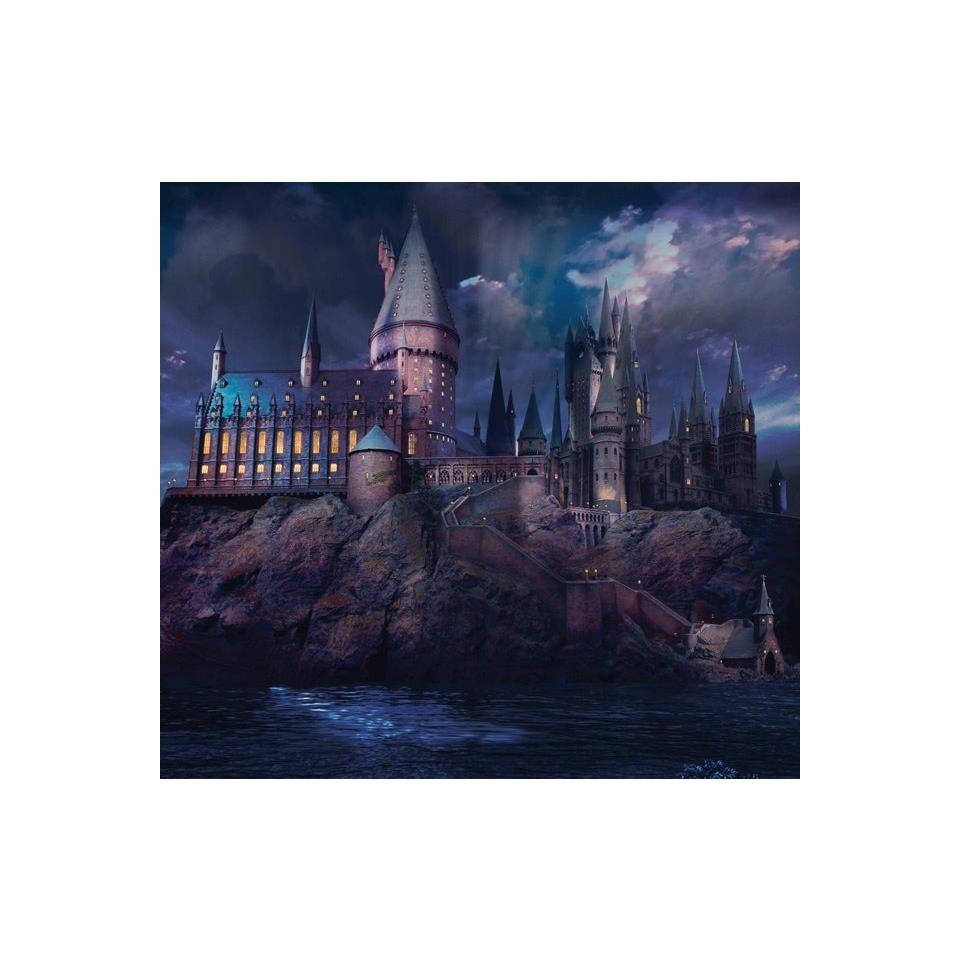 Harry Potter Hogwarts Castle Mural 111392